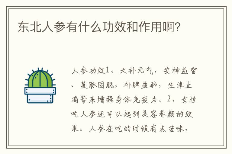 东北人参有什么功效和作用啊？