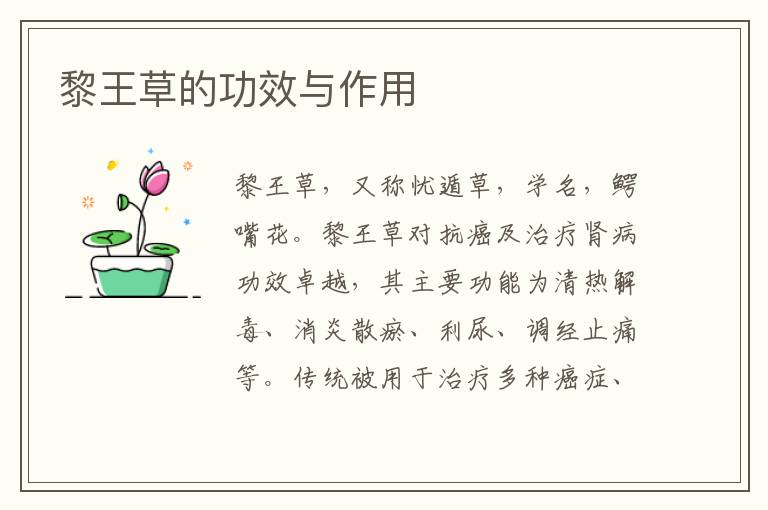 黎王草的功效与作用
